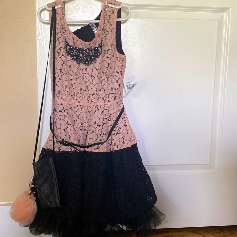 Knit works dress size 12